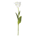 NAPA Home & Garden, PARROT TULIP STEM 22.5",CC327WH