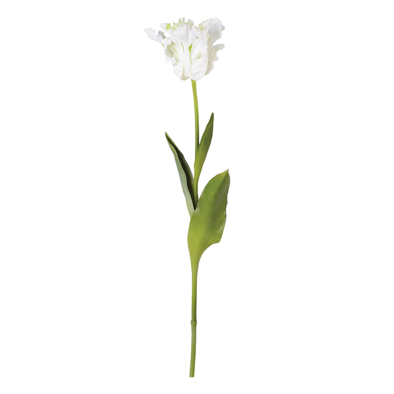 NAPA Home & Garden, PARROT TULIP STEM 22.5",CC327WH