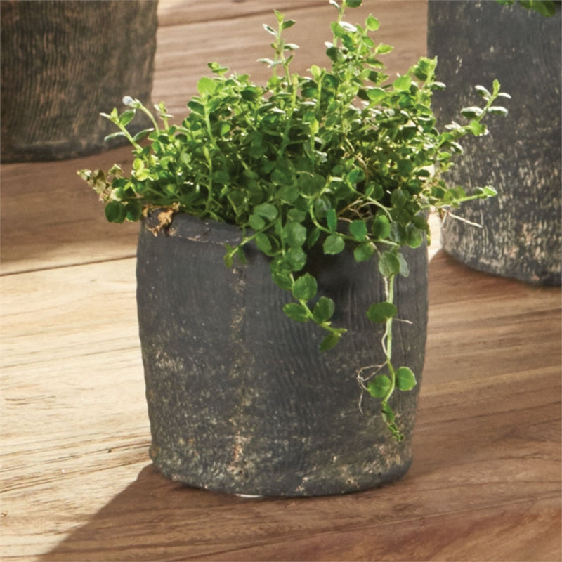 Napa Home Garden, ANTWERP 3" RD POT GRAYWASH,cd227