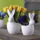 NAPA Home & Garden, WHITE RABBIT CACHEPOT 11",CD305