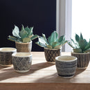 NAPA Home & Garden, SANTA FE POTS, SET OF 6