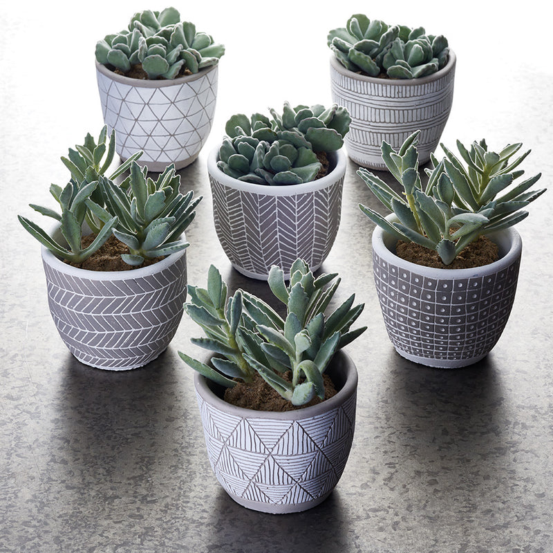 NAPA Home & Garden, SANTA FE POTS, SET OF 6,CD320NA
