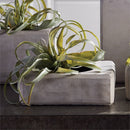 Napa Home Garden, MASON No. 5 POT,cd325