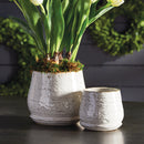 NAPA Home & Garden, QUINCY POTS, SET OF 2,CH302