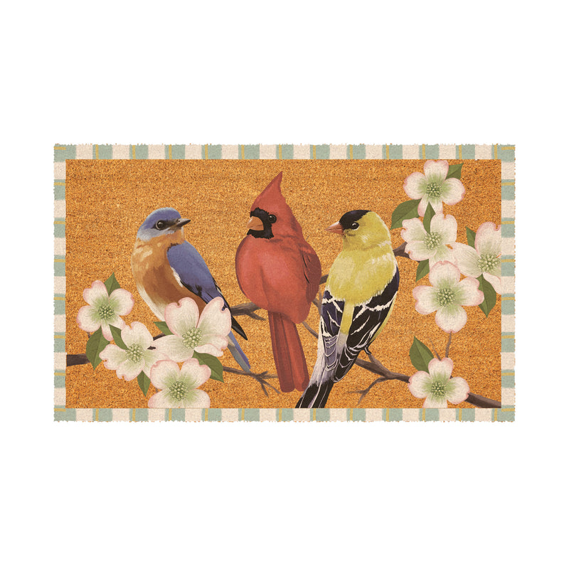What She Shed Bird Bunch, Coir Mat 30"x18"