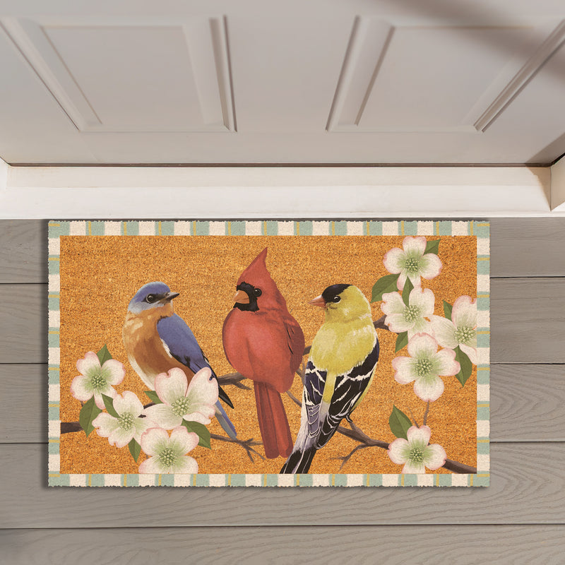 What She Shed Bird Bunch, Coir Mat 30"x18"