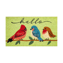 Feathered Spring Friends Coir Mat