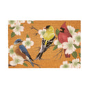 What She Shed Bird Bunch, Coir Mat, 36"x24"