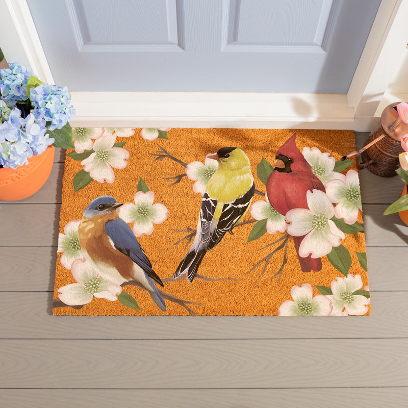 What She Shed Bird Bunch, Coir Mat, 36"x24"