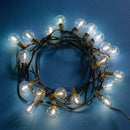 NAPA Home & Garden, NAPA NIGHT SKY LED GLOBE LIGHTS,CP200