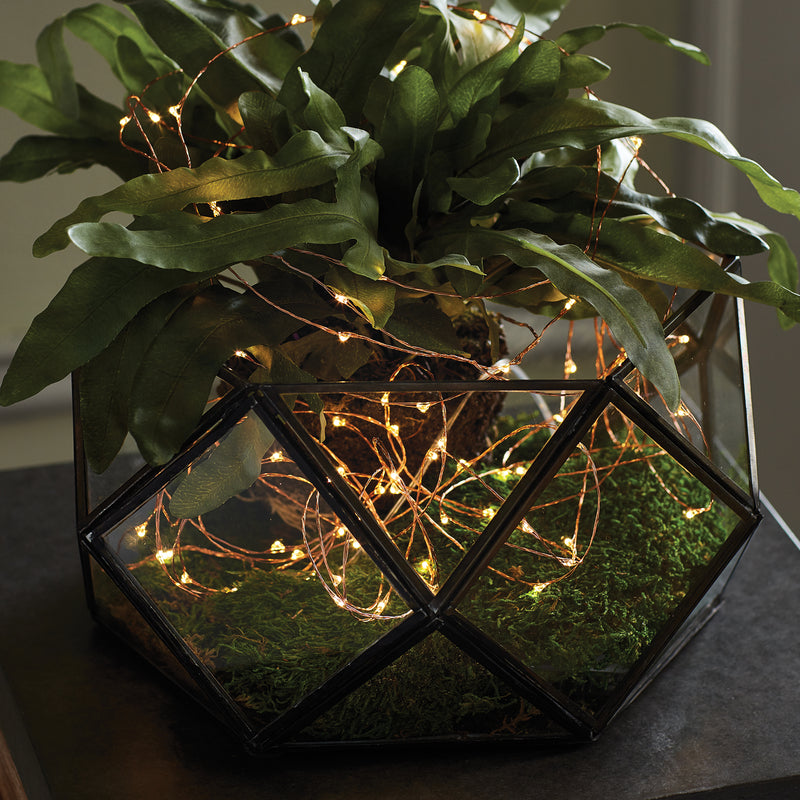 NAPA Home & Garden, NAPA NIGHT SKY LED WIRE STRING LIGHTS, 25',CP203CP