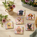 Hillside Pasture Pet Dog Ceramic Coaster Program, Asst of 6, 24 pieces Total, CDU