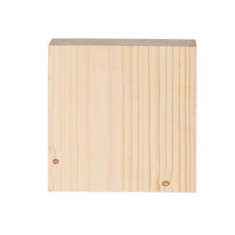 Texas Rangers Plock, Down Home Fans, 6x6