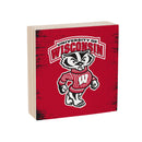 University of Wisconsin-Madison Plock, Down Home Fans, 6x6