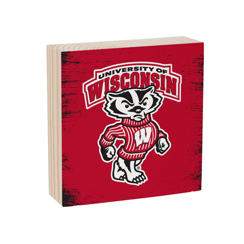 University of Wisconsin-Madison Plock, Down Home Fans, 6x6