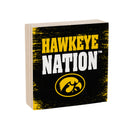 University of Iowa Plock, Down Home Fans, 6x6