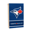 Toronto Blue Jays Plock, Down Home Fans, 8x12