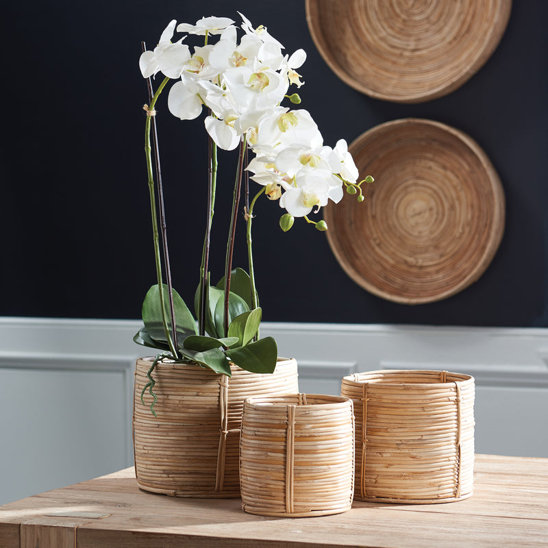 NAPA Home & Garden, CANE RATTAN MINI ROUND BASKETS, SET OF 3,DB202