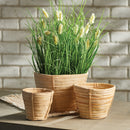 NAPA Home & Garden, CANE RATTAN MINI ROUND TAPERED BASKETS, SET OF 3,DB209