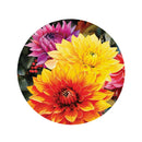 Fall Mums, PVC 16"D Door Decor