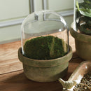 NAPA Home & Garden, Weathered Garden Terrarium Collection
