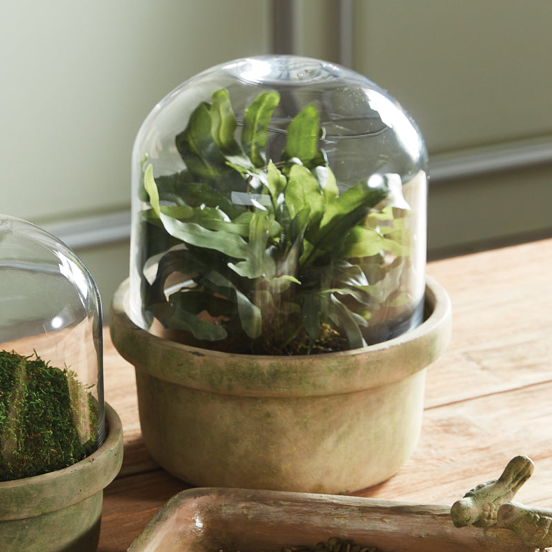 NAPA Home & Garden, Weathered Garden Terrarium Collection