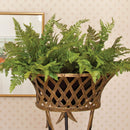 NAPA Home & Garden, SOFT FERN DROP-IN Collection