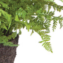 NAPA Home & Garden, SOFT FERN DROP-IN Collection