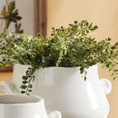 NAPA Home & Garden, SOFT FERN DROP-IN