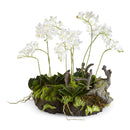 NAPA Home & Garden, MINI DENDROBIUM WITH RUSTIC DROP-IN