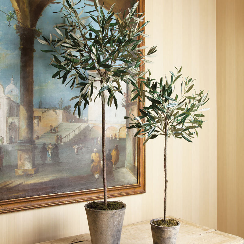 NAPA Home & Garden, OLIVE TREE POTTED 30",DI1213