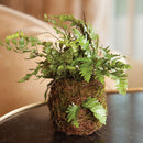 NAPA Home & Garden, MIXED FERN DROP-IN 8",DI1218