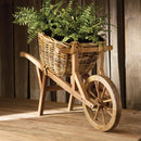 NAPA Home & Garden, Boston Fern Drop-In Collection