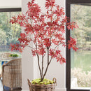 NAPA Home & Garden, RED MAPLE TREE DROP-IN 84",DI1253