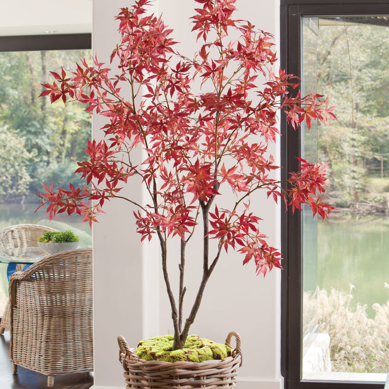 NAPA Home & Garden, RED MAPLE TREE DROP-IN 84",DI1253