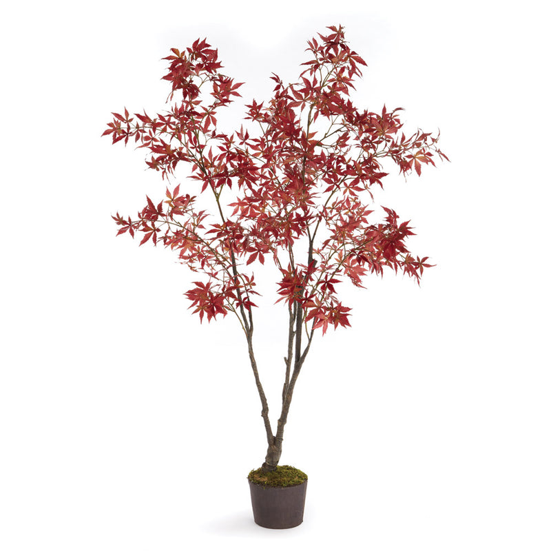 NAPA Home & Garden, RED MAPLE TREE DROP-IN 84",DI1253