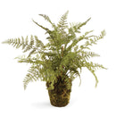 NAPA Home & Garden, SOFT FERN DROP-IN Collection