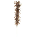 NAPA Home & Garden Feather Spray Decor Piece