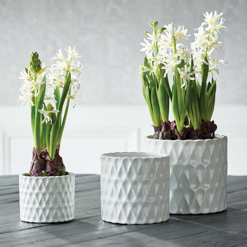 NAPA Home & Garden, LOOPY POTS, SET OF 3,EN153WH