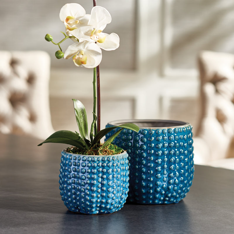 NAPA Home & Garden, URCHIN POTS, SET OF 2,EN162BL