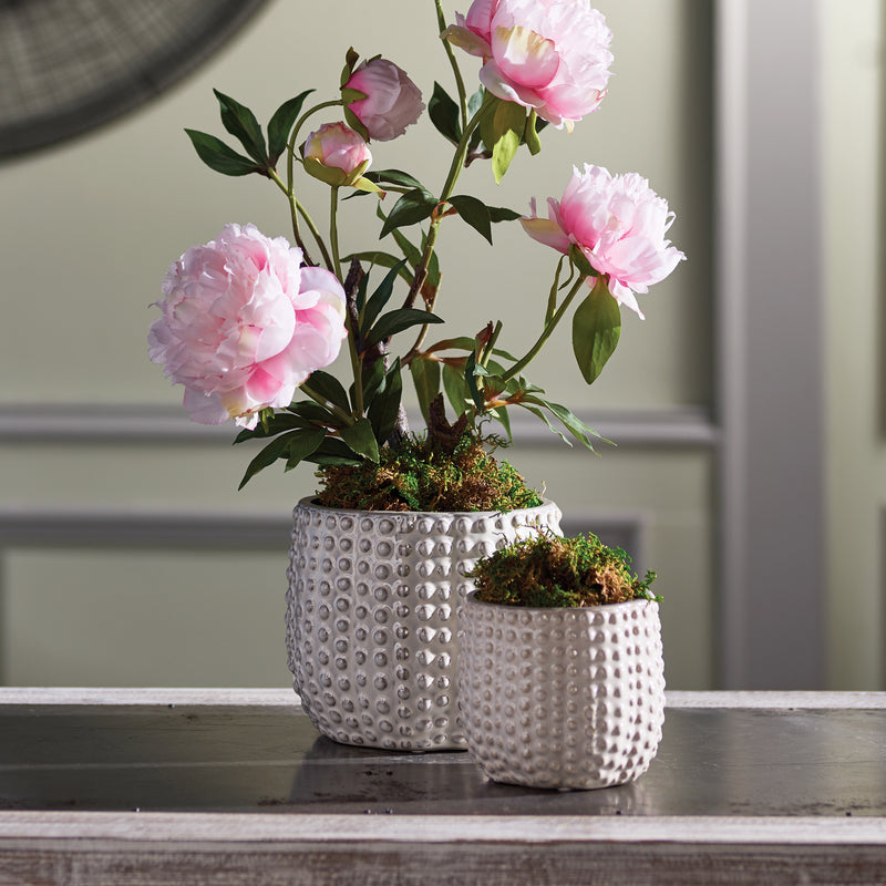NAPA Home & Garden, URCHIN POTS, SET OF 2,EN162CR