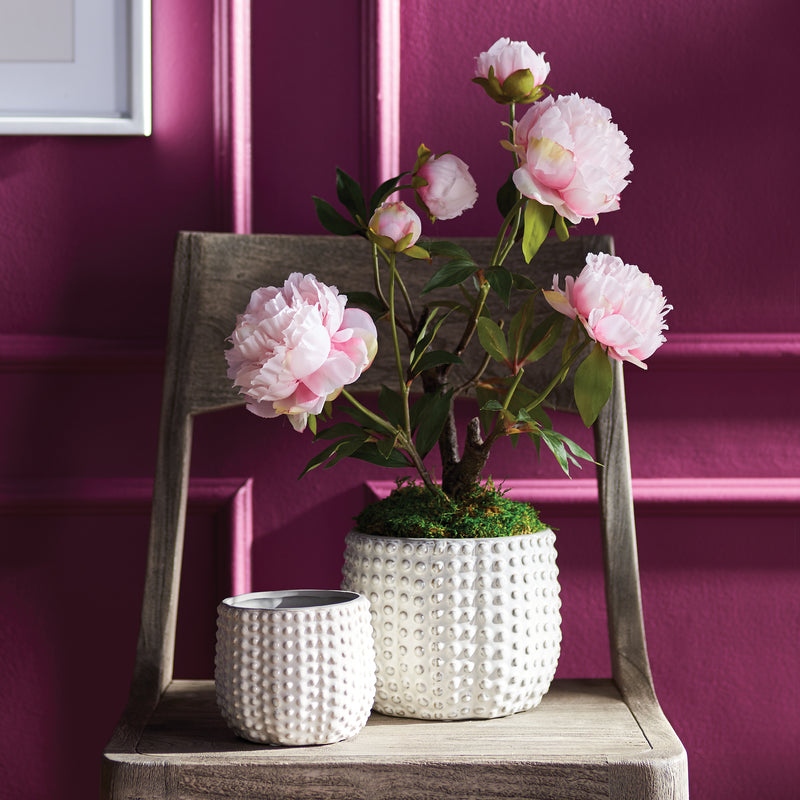 NAPA Home & Garden, URCHIN POTS, SET OF 2,EN162CR