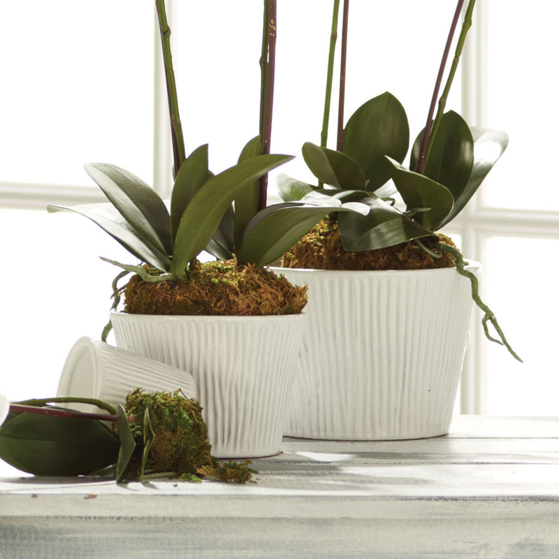NAPA Home & Garden, SINCLAIR CACHEPOTS, SET OF 3,F5050W