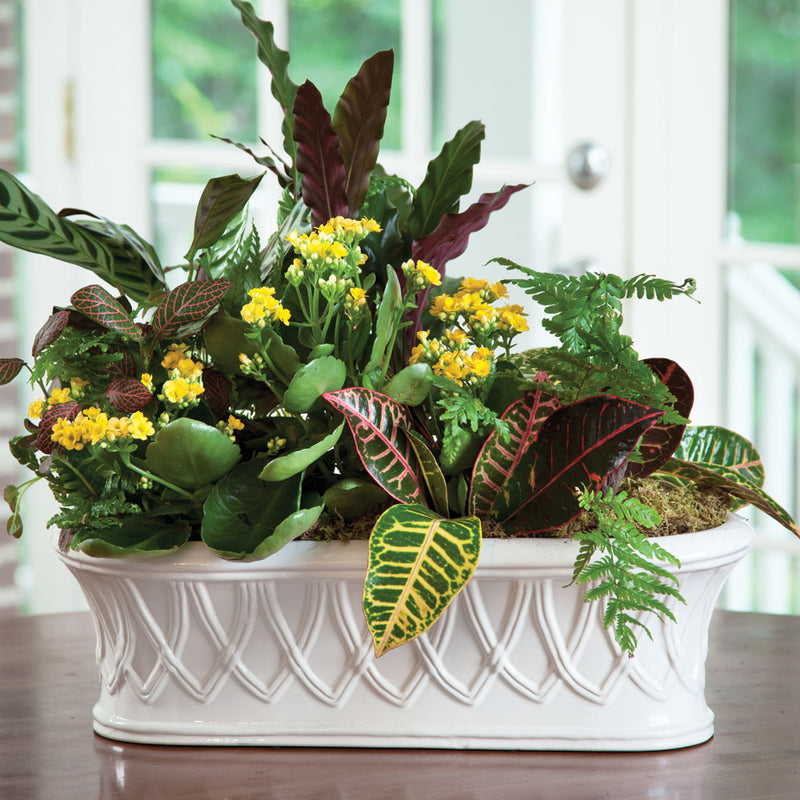 NAPA Home & Garden, HILLINGDON OBLONG CACHEPOT,F5150W