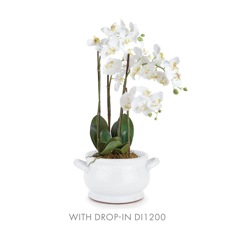 NAPA Home & Garden, BRADFORD FOOTED BOWL,F5160