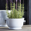 NAPA Home & Garden, DAWSON CACHEPOT Collection