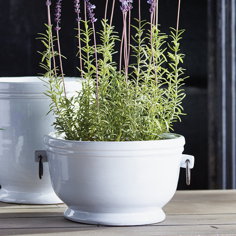 NAPA Home & Garden, DAWSON CACHEPOT Collection