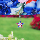 Metal Weighted Enamel Flag Clip, Star