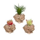 Hillside Pasture Faux Floral Table Decor, Highland Cow Succulent, Asst of 3, CDU