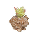 Hillside Pasture Faux Floral Table Decor, Highland Cow Succulent, Asst of 3, CDU